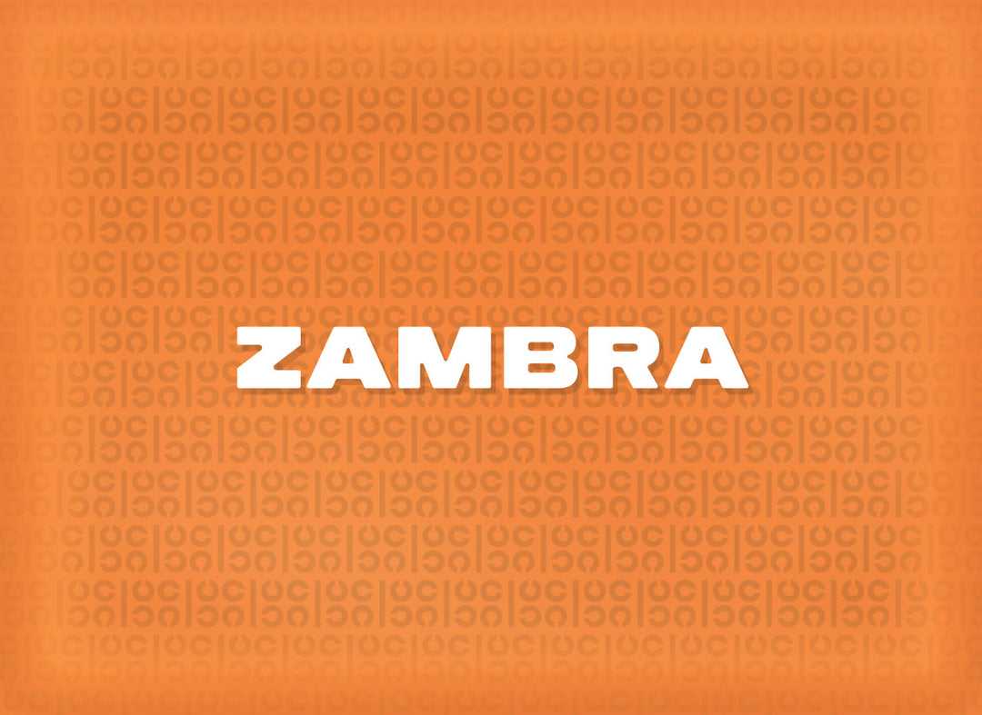 Zambra